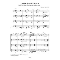 Brazilian Portrait : Villa-Lobos, J. S. Bach